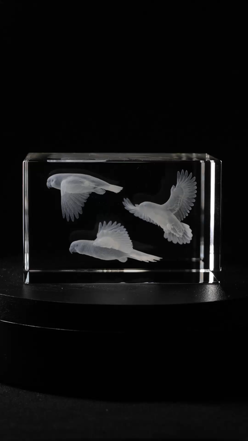 [Laser cut and engrave] Gravure interne 3D - Bloc en cristal avec 3 perroquets amazone
