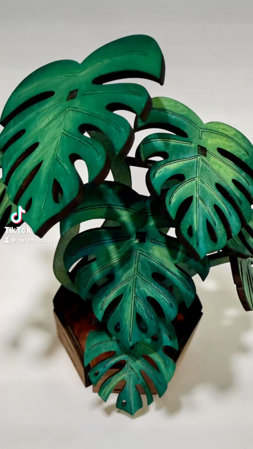 [Laser cut and engrave] Potted Monstera plant - Laser Cut