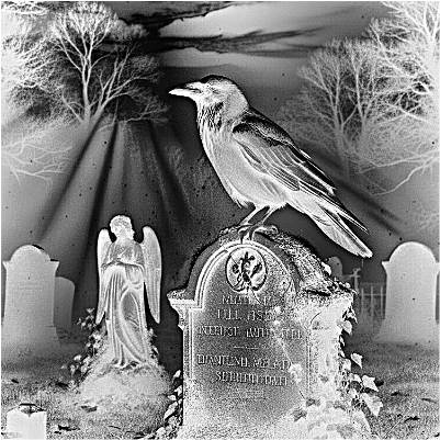 crow on a grave stone-1.xs