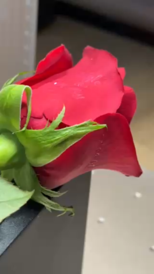 [Laser cut and engrave] Red Roses with Personalized Text and Heart Accents