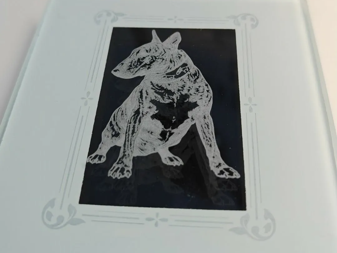 Sottobicchiere in Vetro con Ritratto di Cane Bull Terrier idea sottobicchieri sublimazione