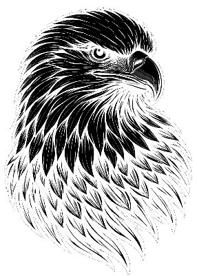 Eagle mirror.xcs