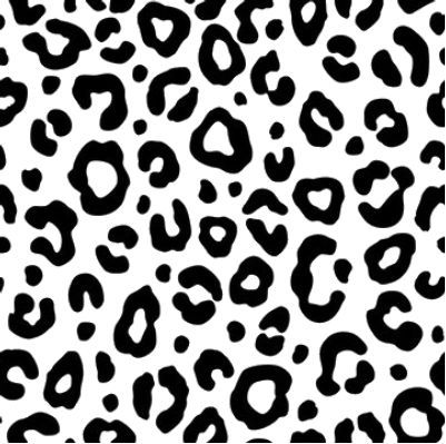 Untitled.xs