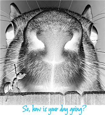 EichhornWochenendeLePP.xcs