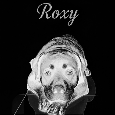 Roxy slate engraving.xcs
