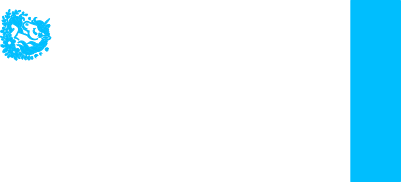 Gravure sur verre licorne.xcs