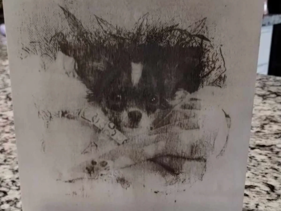 Pet Photo on Wood Canvas