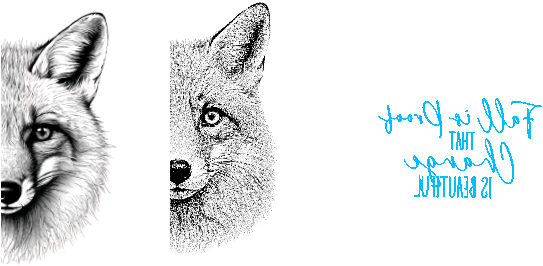 FFHelloFallFoxFINALv1.xcs