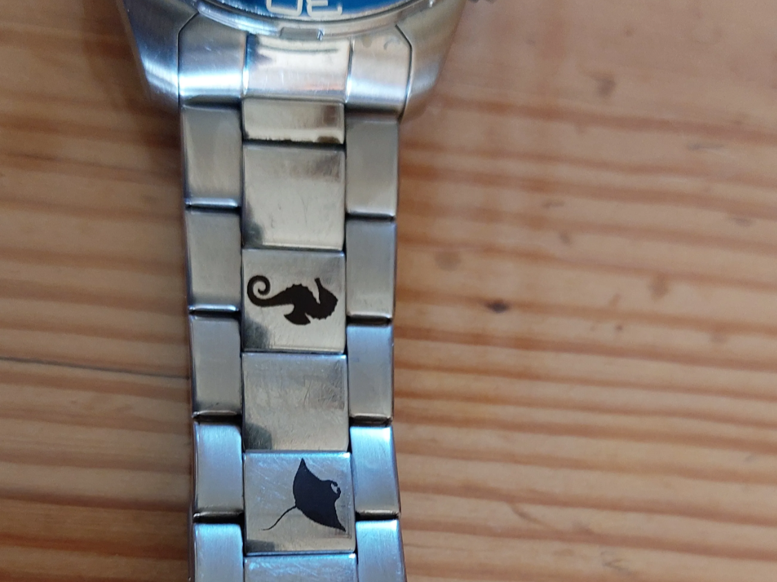 304 Stainless Steel