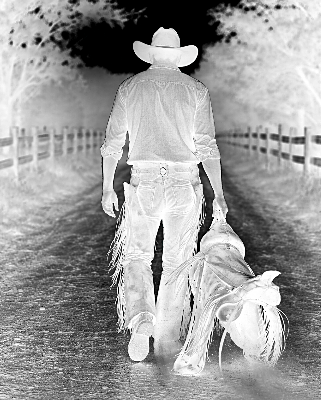 cowboy16x20.xcs
