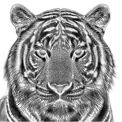 Tiger_Slate Coaster.xcs