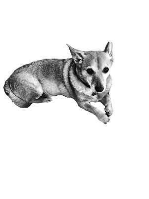dropelino PU schwarz.xcs