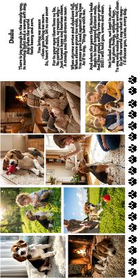 Pet Memorial Canvas.xcs