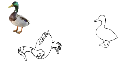 Untitled.xs