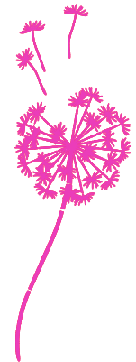 Pusteblume.xcs