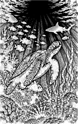 Underwater Scene.xcs