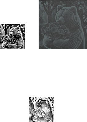 bearflowers.xcs