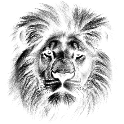 Lion-slateengraving-BrizAI.xcs