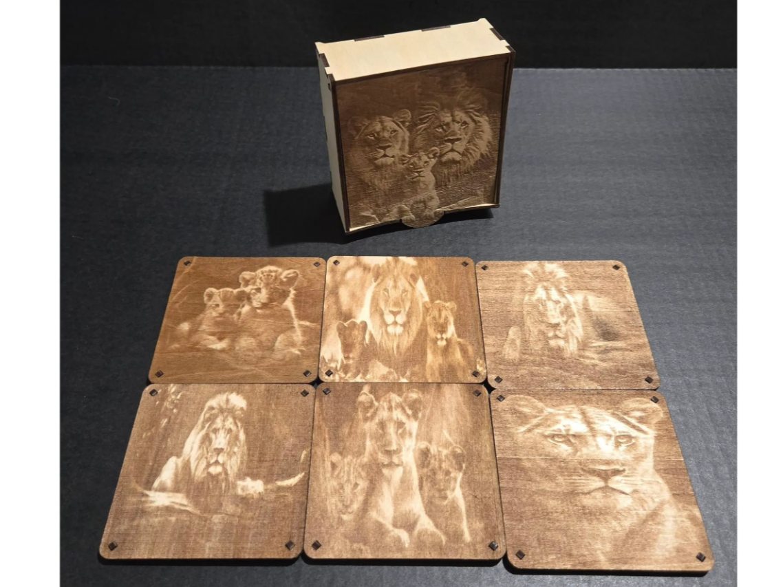 Lion Coaster Set