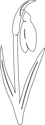 SG3.xcs