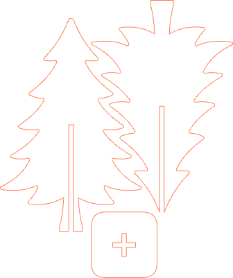 Simple Christmas Tree.xcs