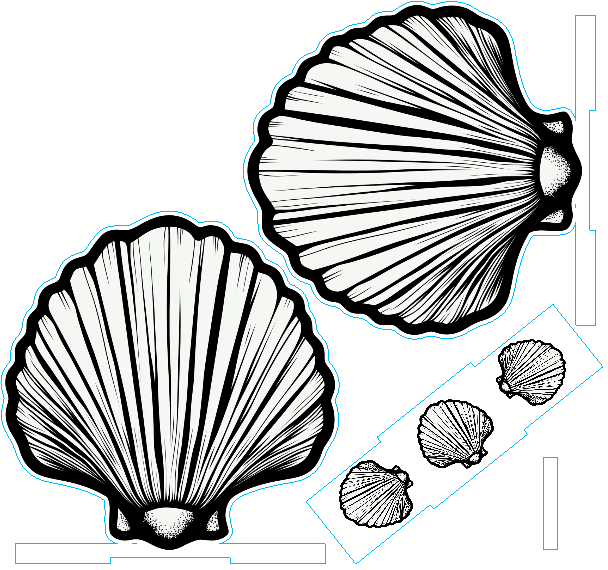 shellnapkinholder.xcs