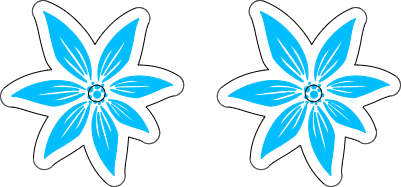 fleur asymétrique.xcs