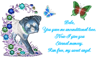 DogMemorialTwo.xcs
