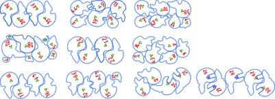 skull.xcs