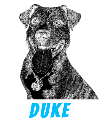 Duke.xcs