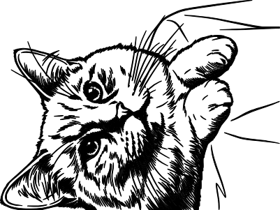 jaquadi.xcs
