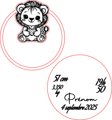 plaque de naissance lions.xcs