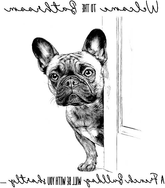 FFFrenchieBathroomBedroomorFrontroonFunnyMirrorFinalv1.xcs