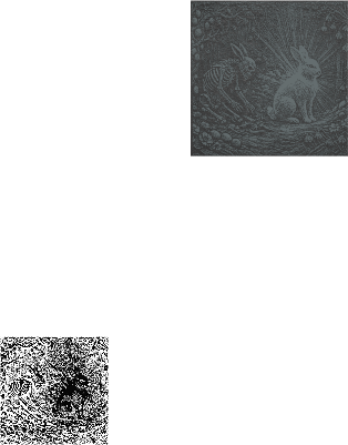 atommbunnyduality.xcs
