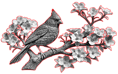 Cardinal.xcs