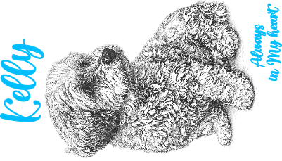 Kelly Glasgravur.xcs