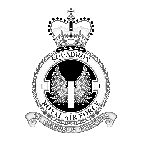 1 Sqn crest.xcs