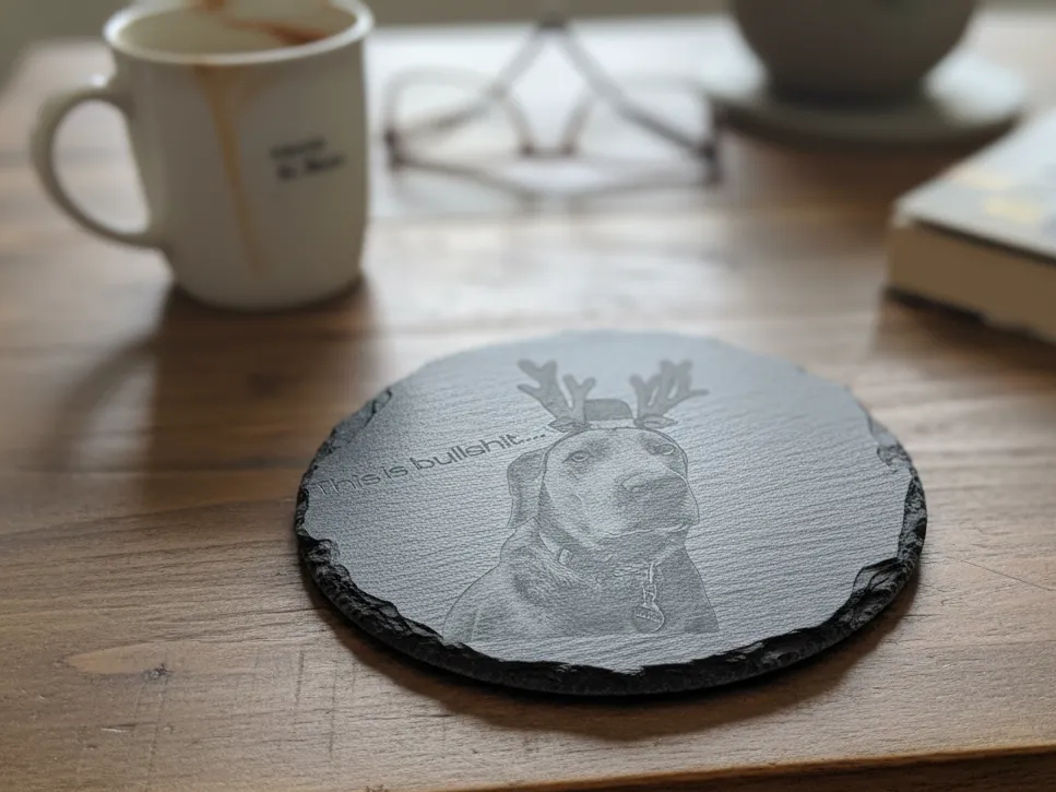 Set of general pet themed coasters