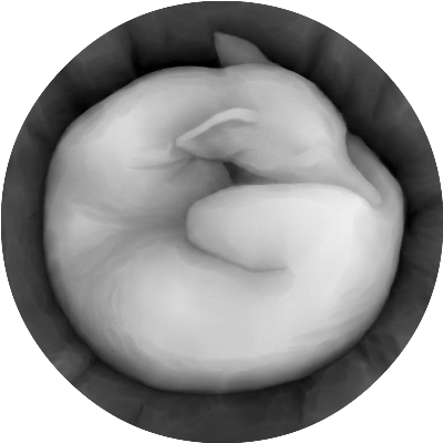 sleepfox_notbad_standard.xcs