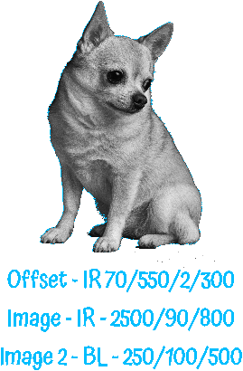 Chihuahua-StainlessSteel.xcs