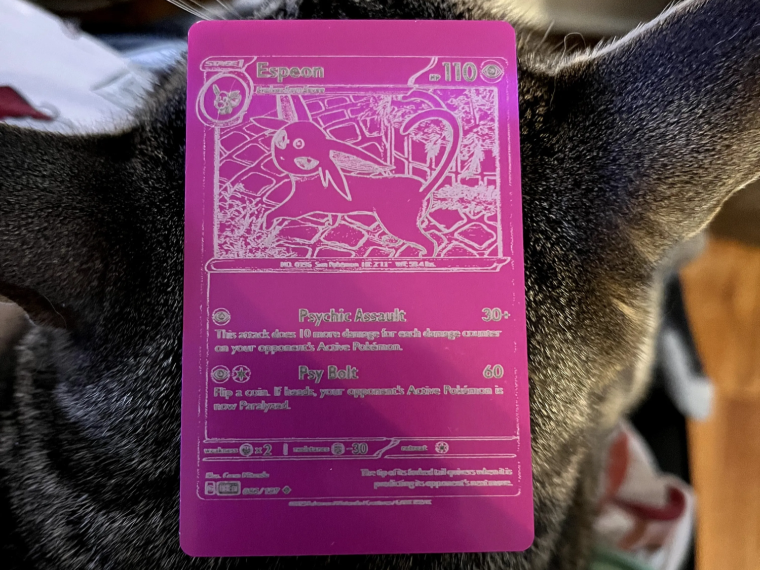 Metal Pokemon Card gift for teens idea