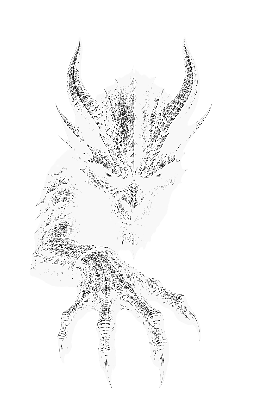 Untitled.xcs