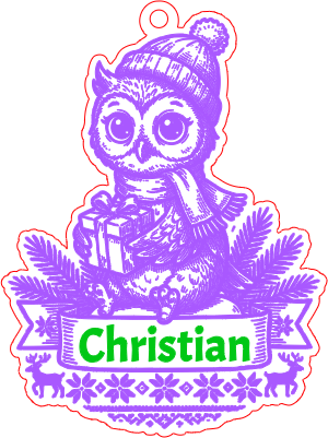 Personalized Owl Christmas Ornament – Custom Name.xcs