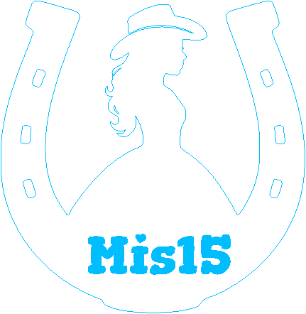 Mis15.xcs