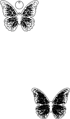 Earrings-Butterfly.xcs