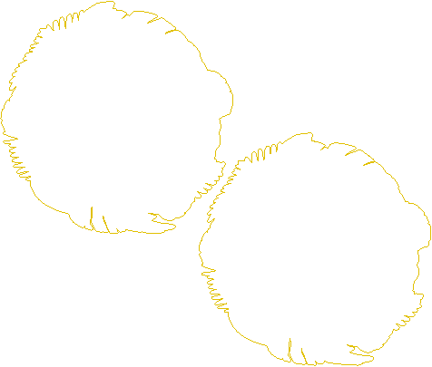 Baby Monthly Milestone Markers_Safari Theme.xcs