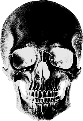 Skull Untersetzer 1.xcs