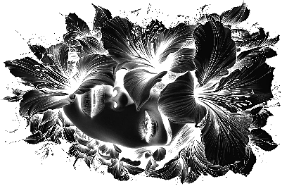 Untitled.xcs