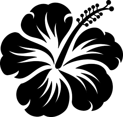 Glass_Hibiscus.xcs