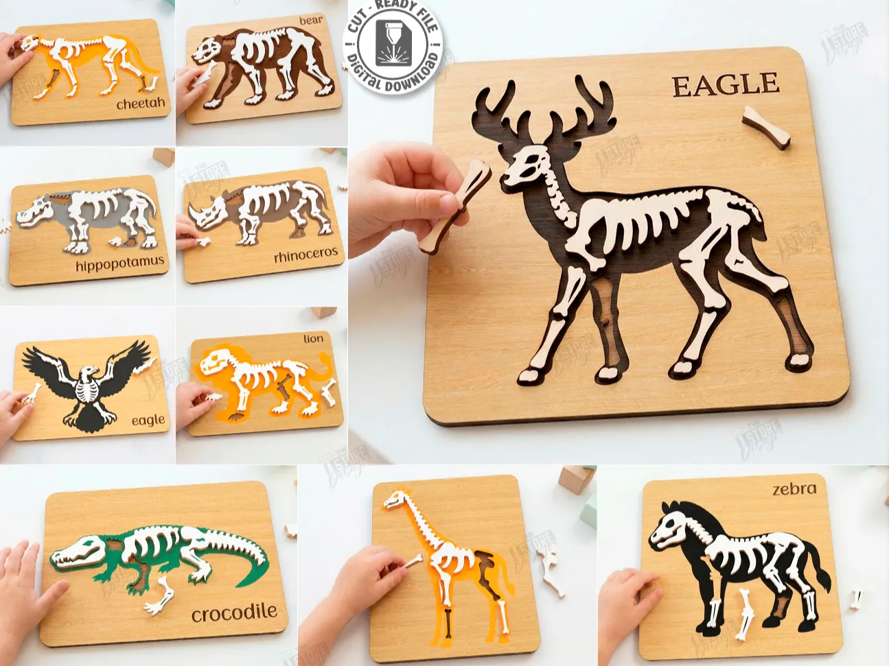 Animal skeleton laser cut bundle anatomy puzzles montessori toys